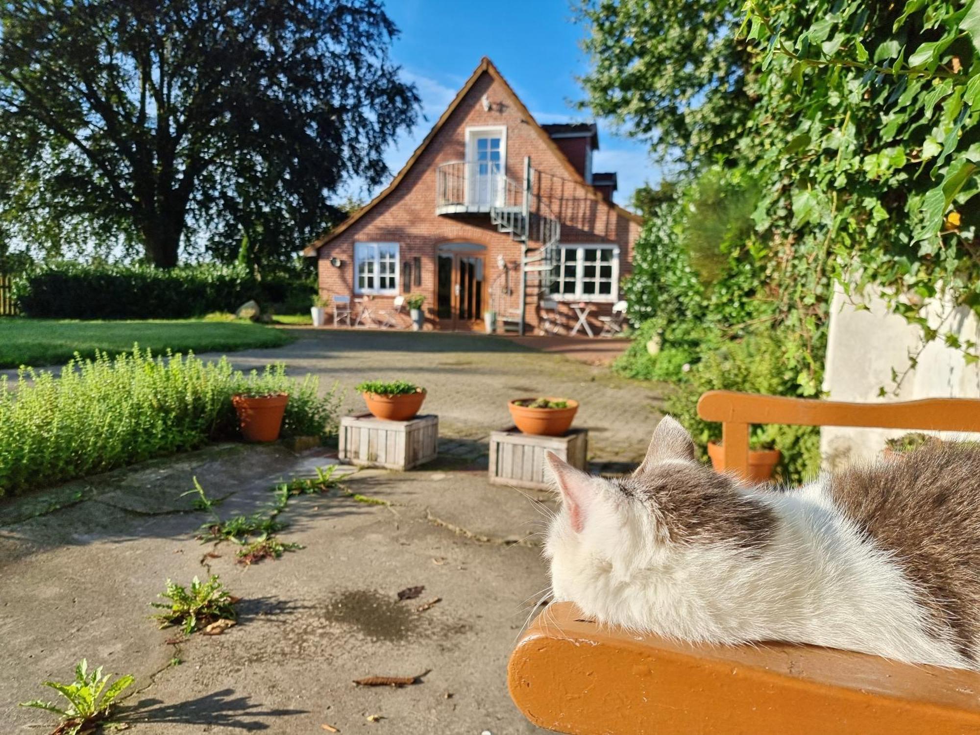 Apartment 200 Jahre Altes Mit Tieren
